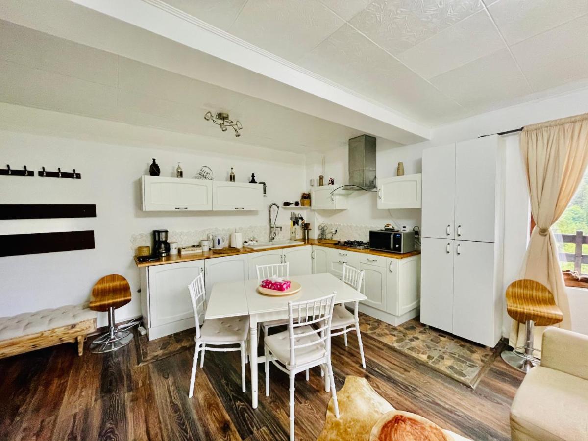 Delux Apartment Predeal Exteriér fotografie